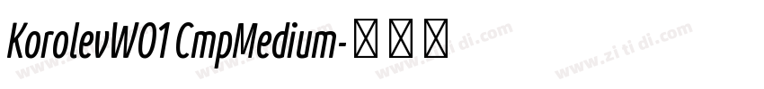 KorolevW01 CmpMedium字体转换